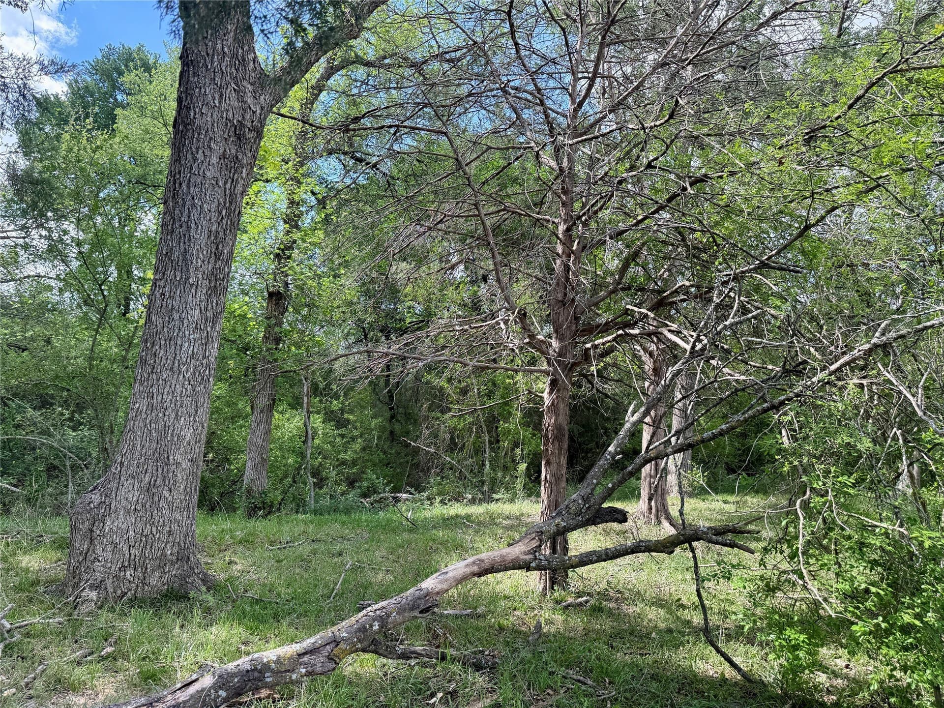 137.39 acres in Navarro County - photo 34