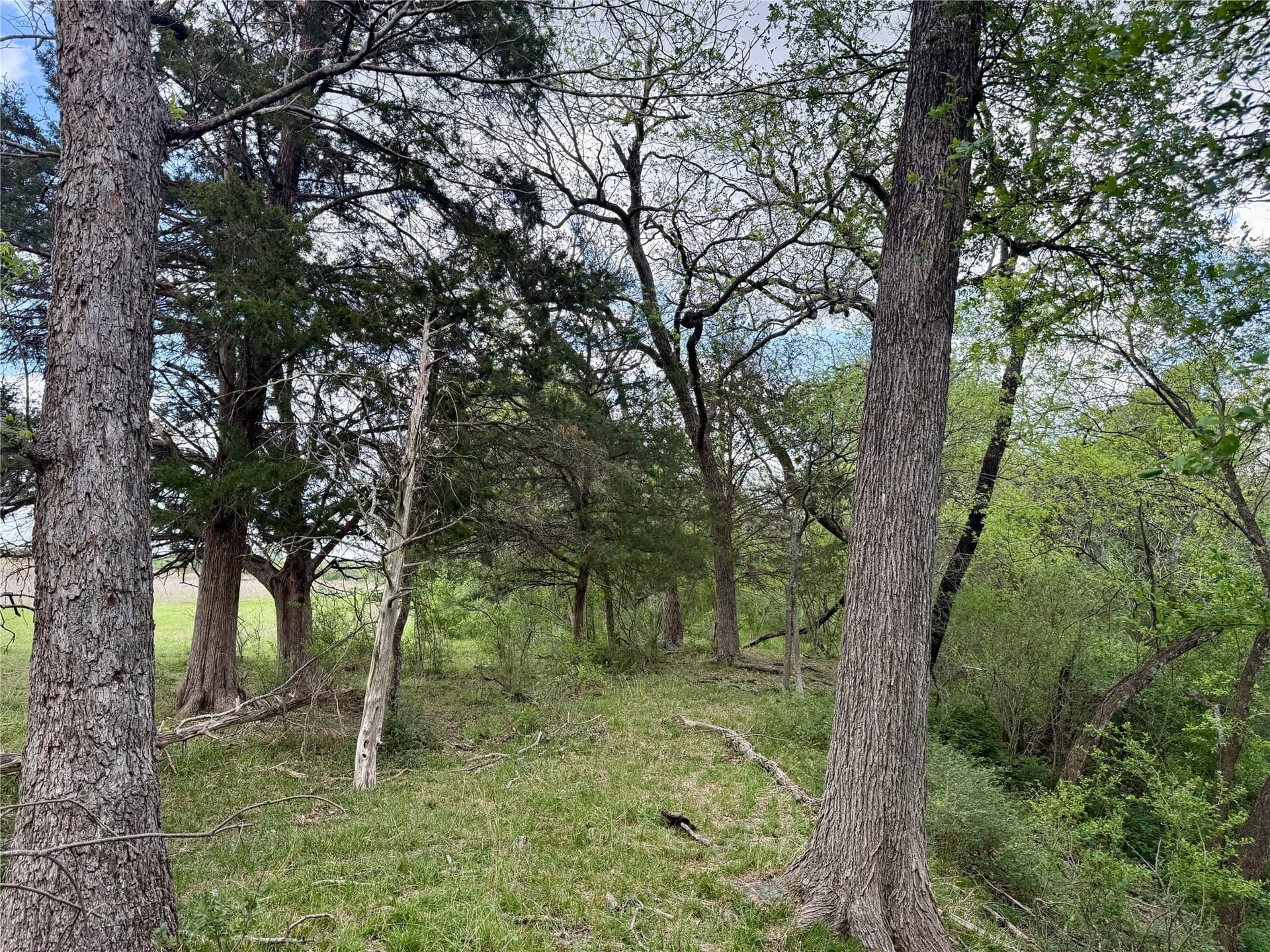 137.39 acres in Navarro County - photo 36