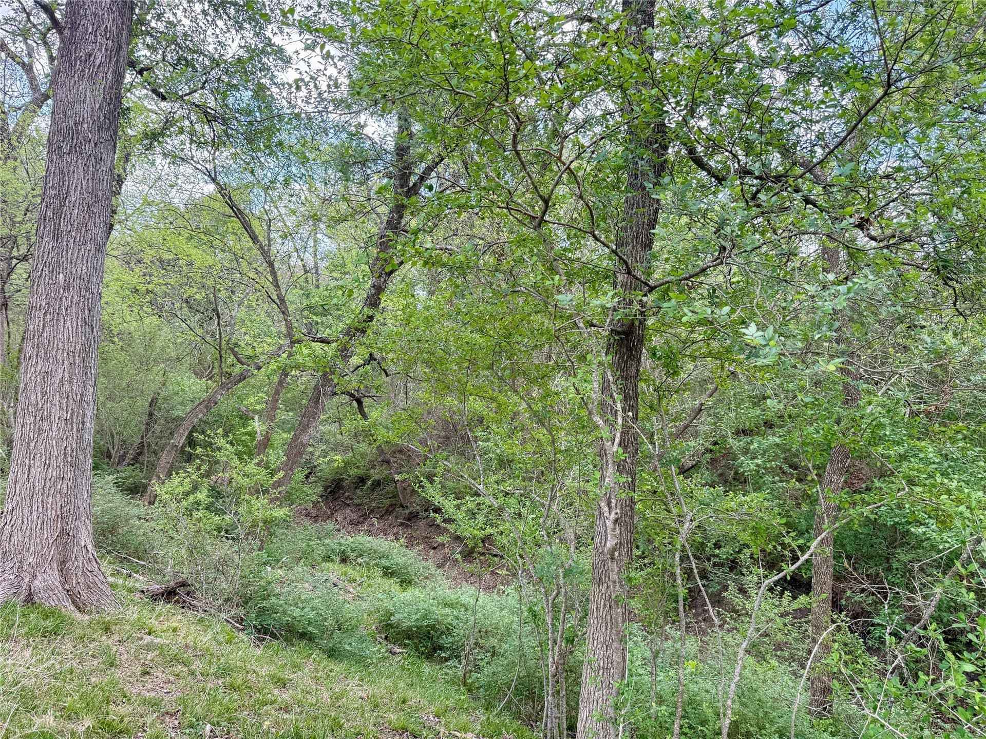 137.39 acres in Navarro County - photo 35