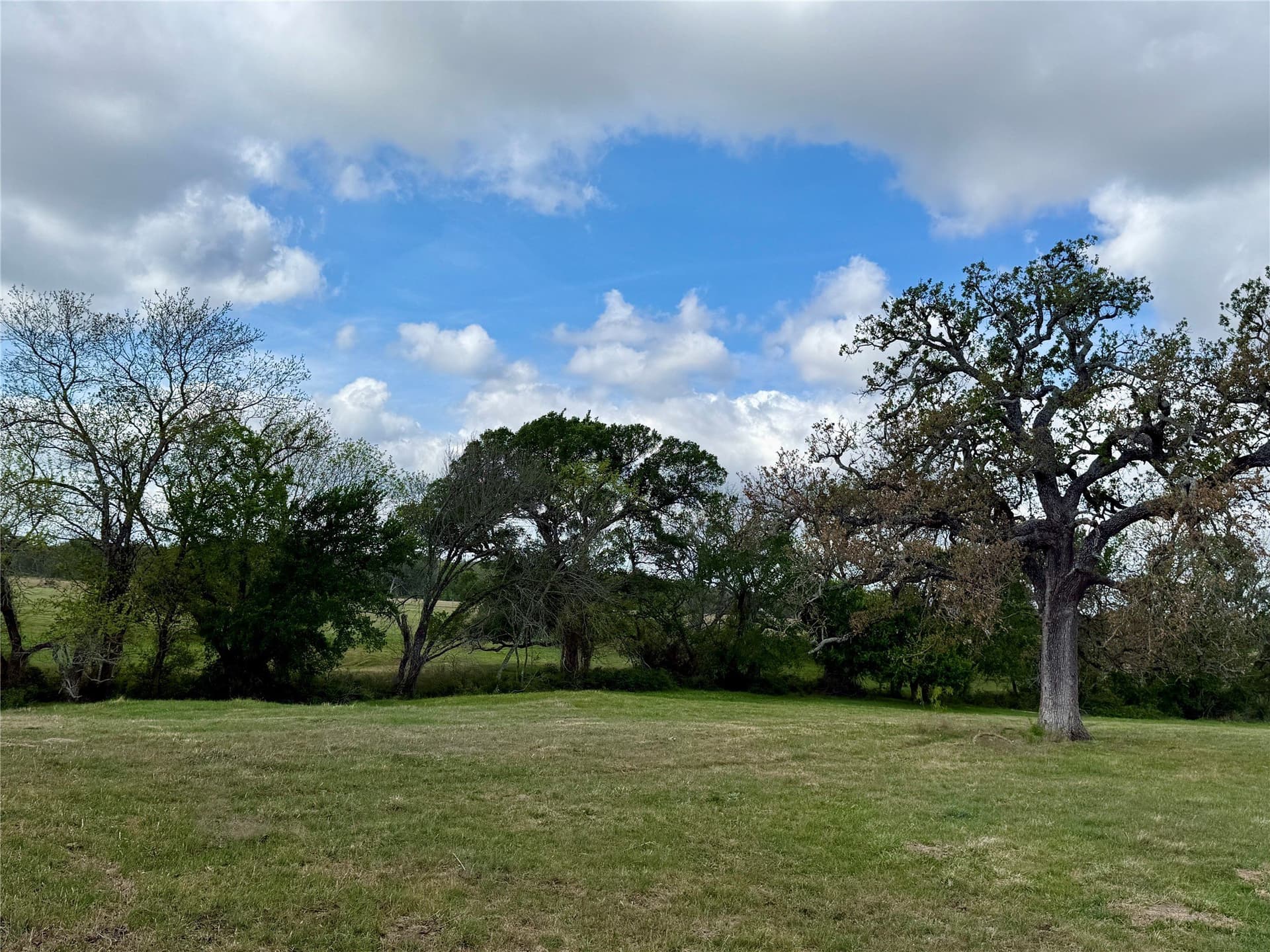 137.39 acres in Navarro County - photo 7