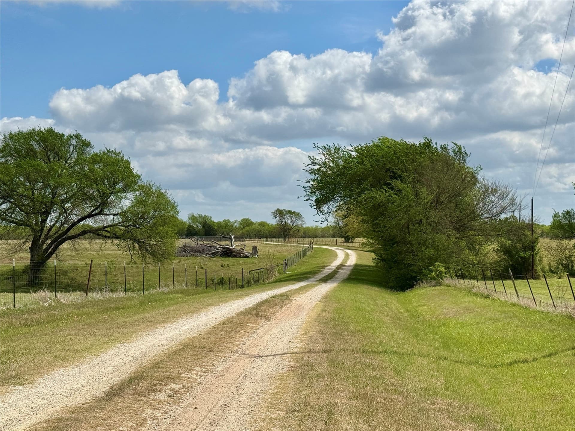 137.39 acres in Navarro County - photo 37