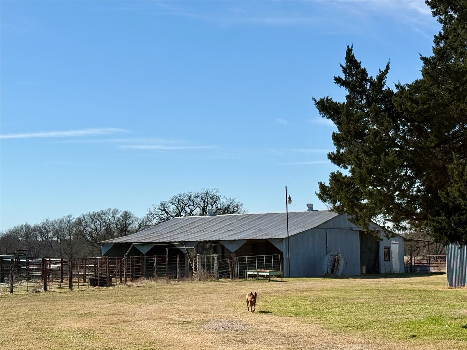 137.39 acres in Navarro County - photo 18