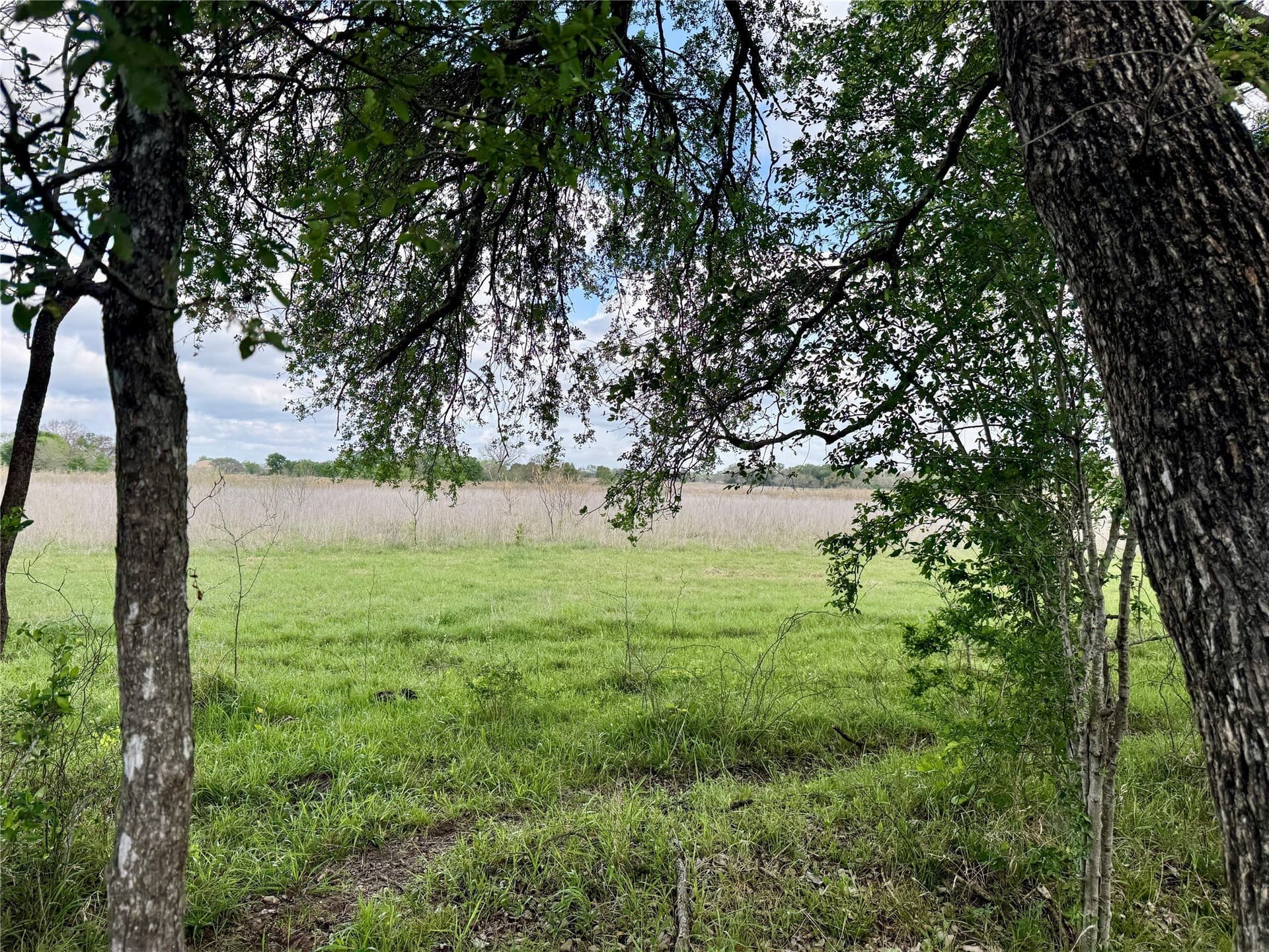 137.39 acres in Navarro County - photo 6