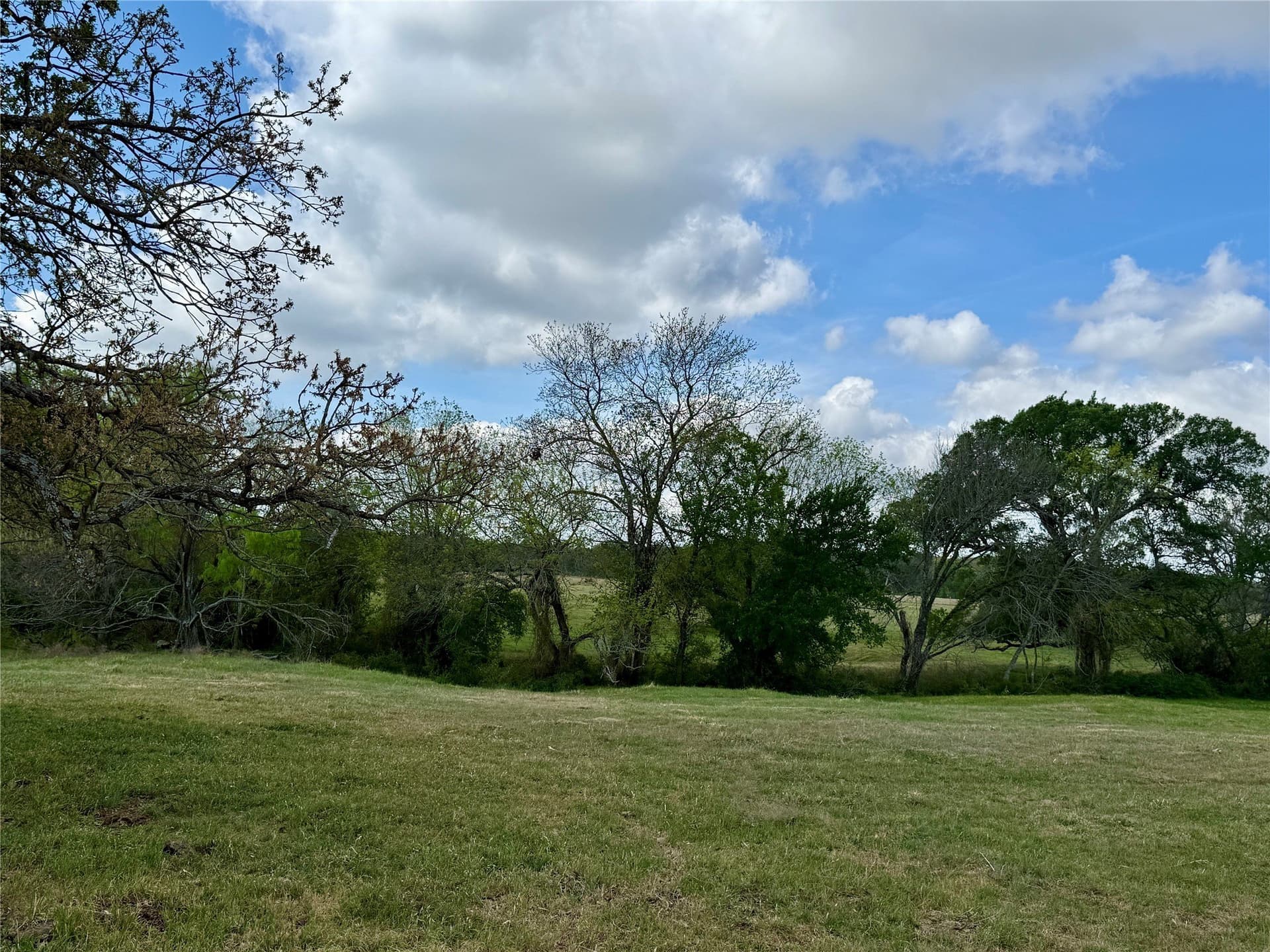 137.39 acres in Navarro County - photo 32