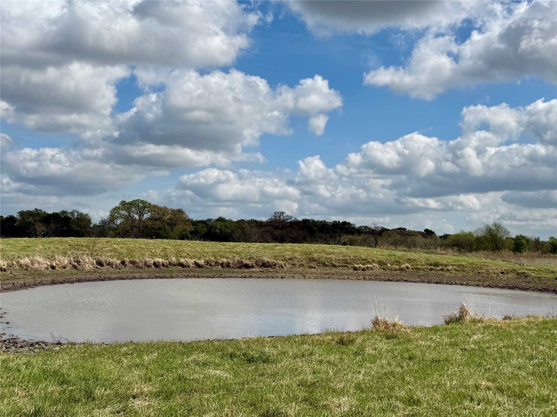 137.39 acres in Navarro County - photo 19
