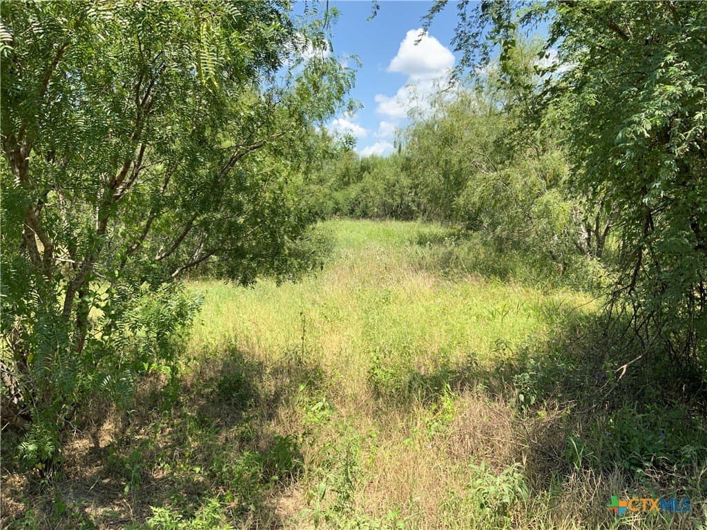 50.94 acres in San Patricio County gallery image 4