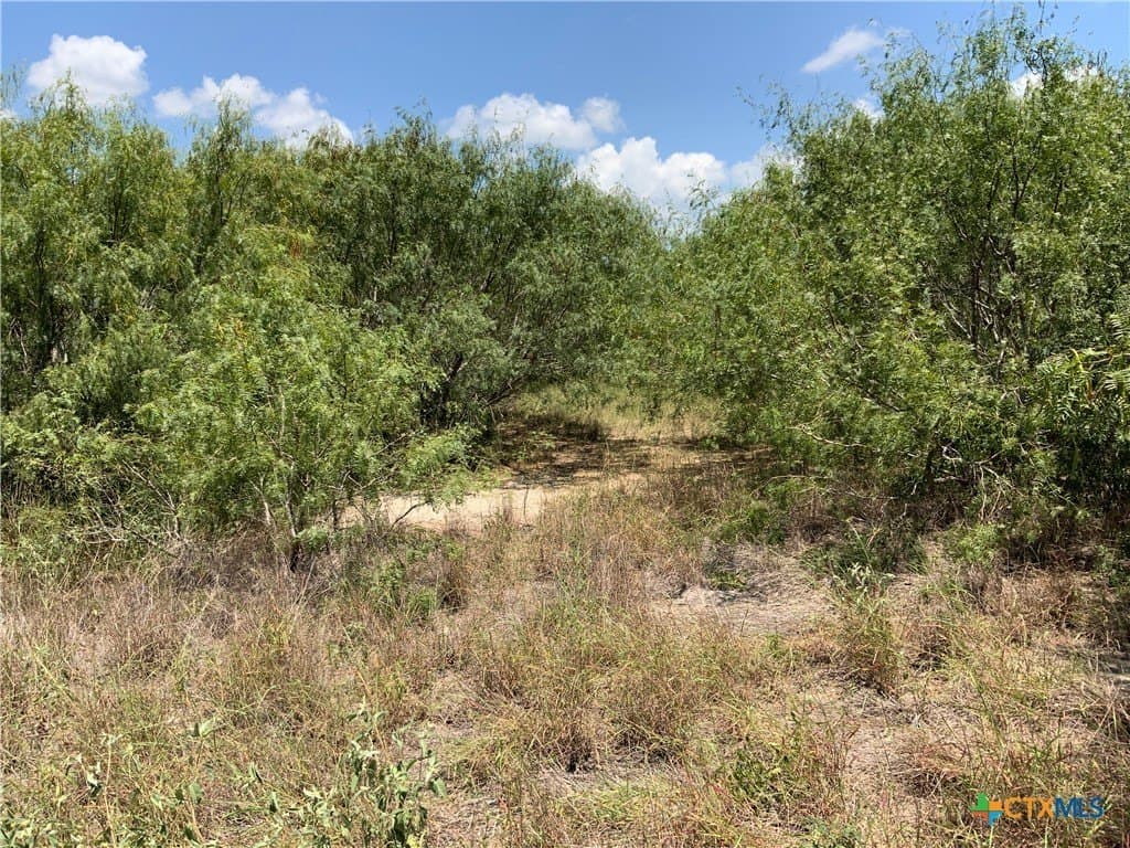 50.94 acres in San Patricio County gallery image 2