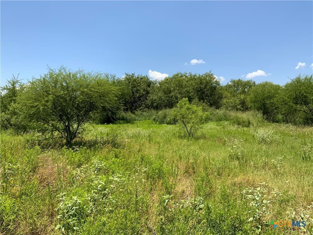 50.94 acres in San Patricio County featured view