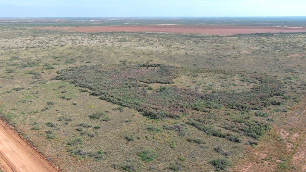 40 acres in Martin County gallery image 4