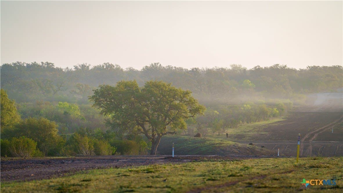 450 acres in Goliad County - photo 29