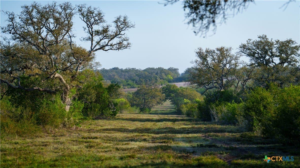 450 acres in Goliad County - photo 31