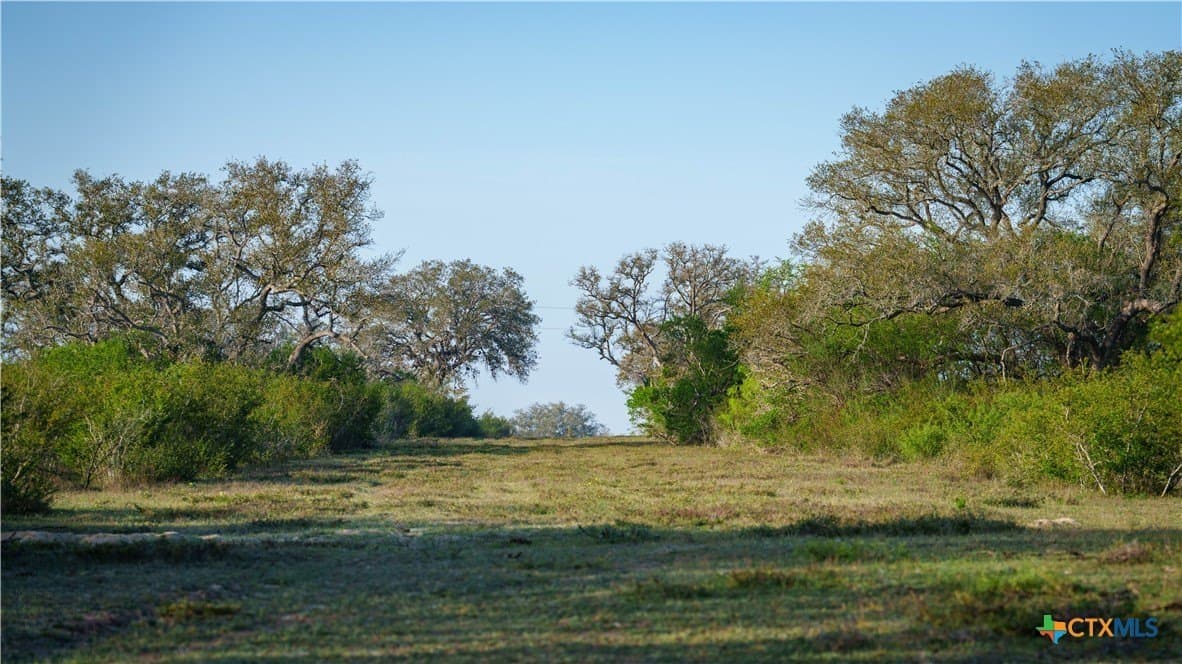 450 acres in Goliad County - photo 30
