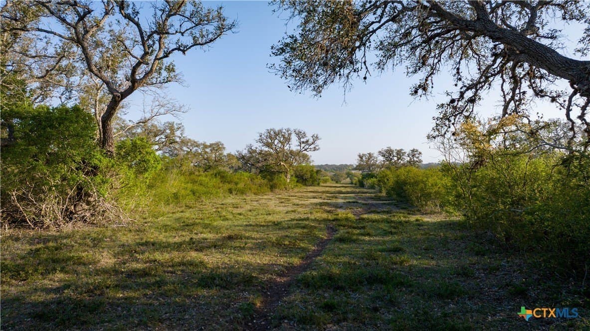 450 acres in Goliad County - photo 32