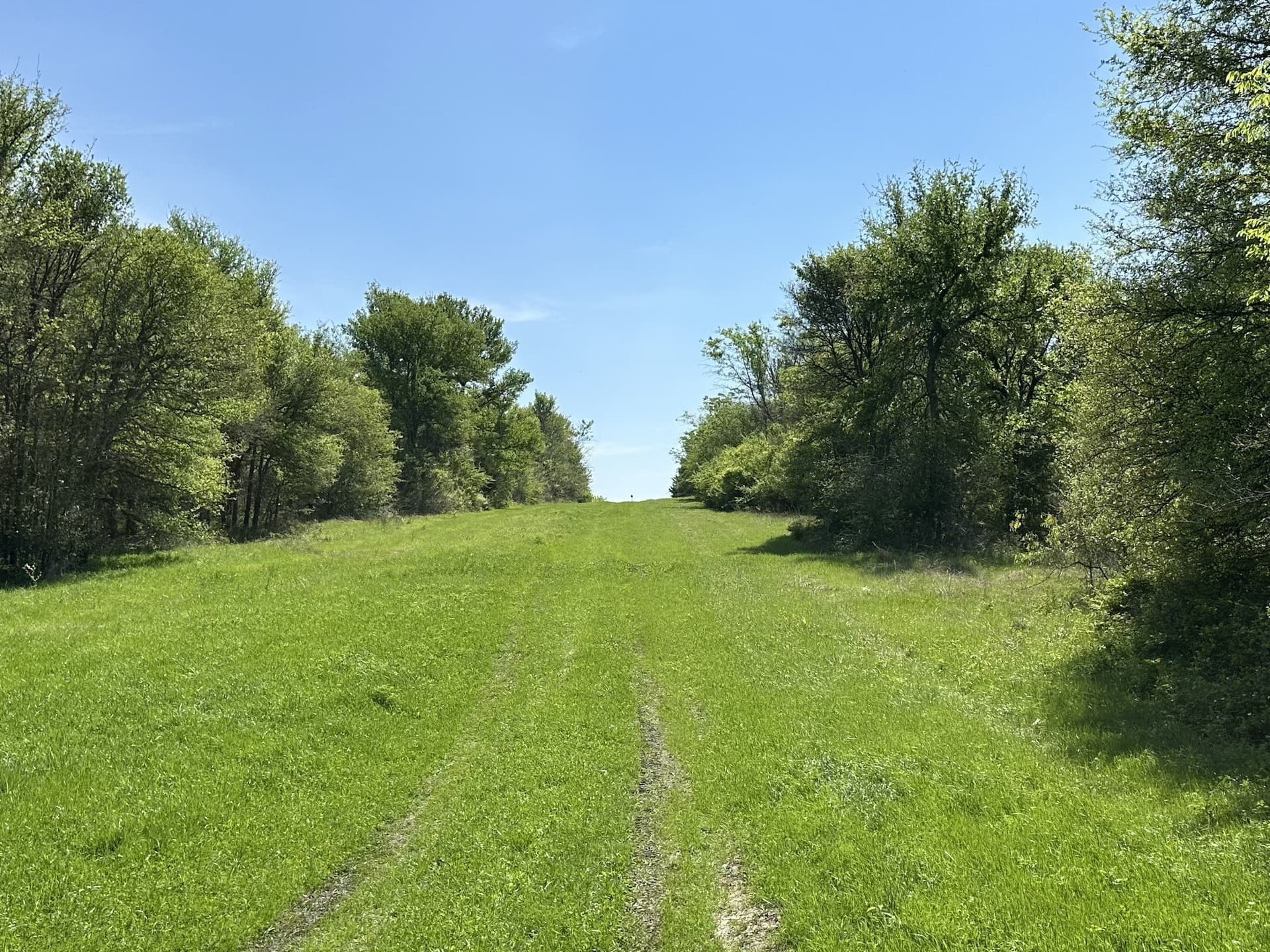 149.71 acres in Navarro County - photo 27