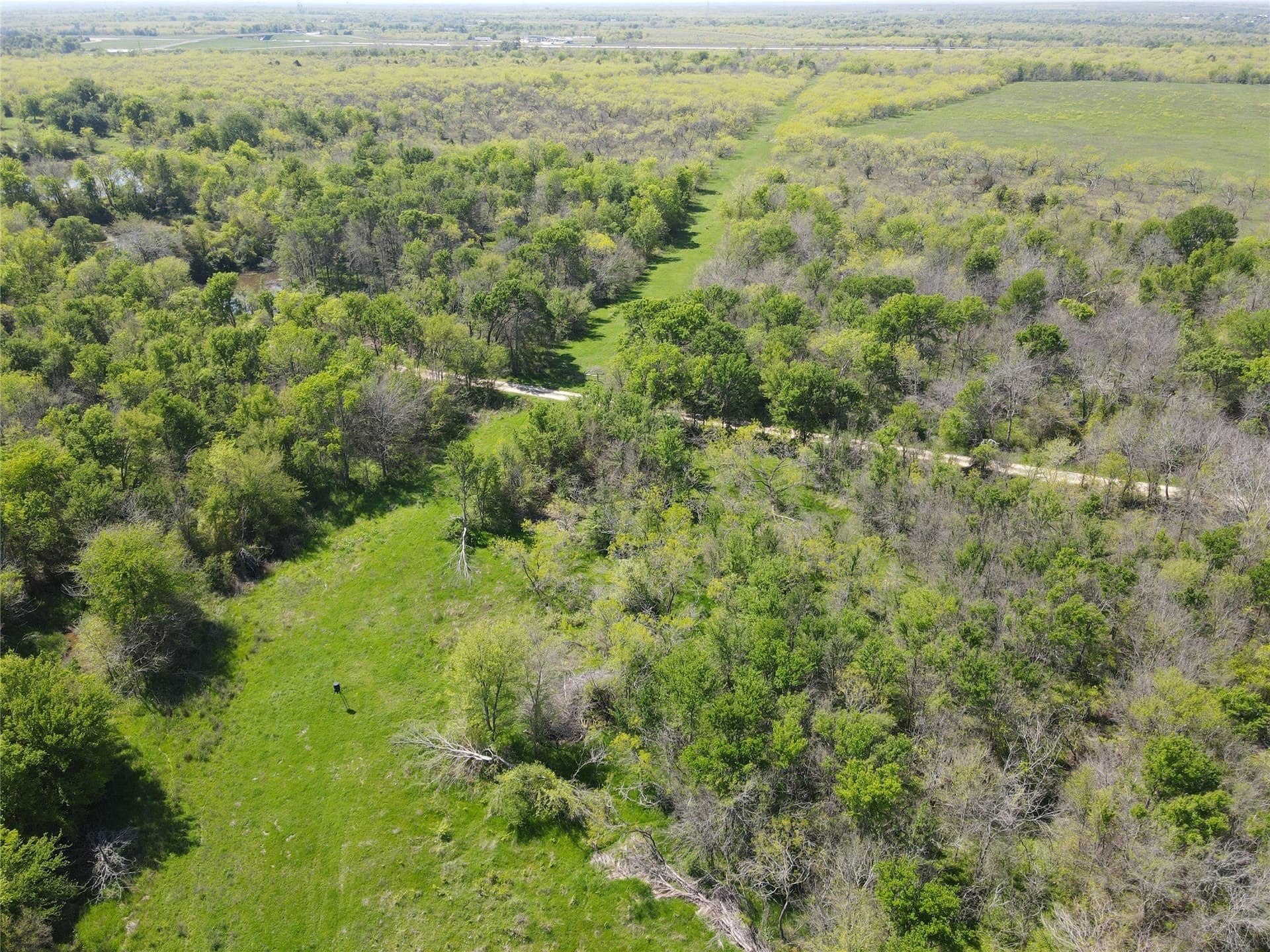 149.71 acres in Navarro County - photo 17