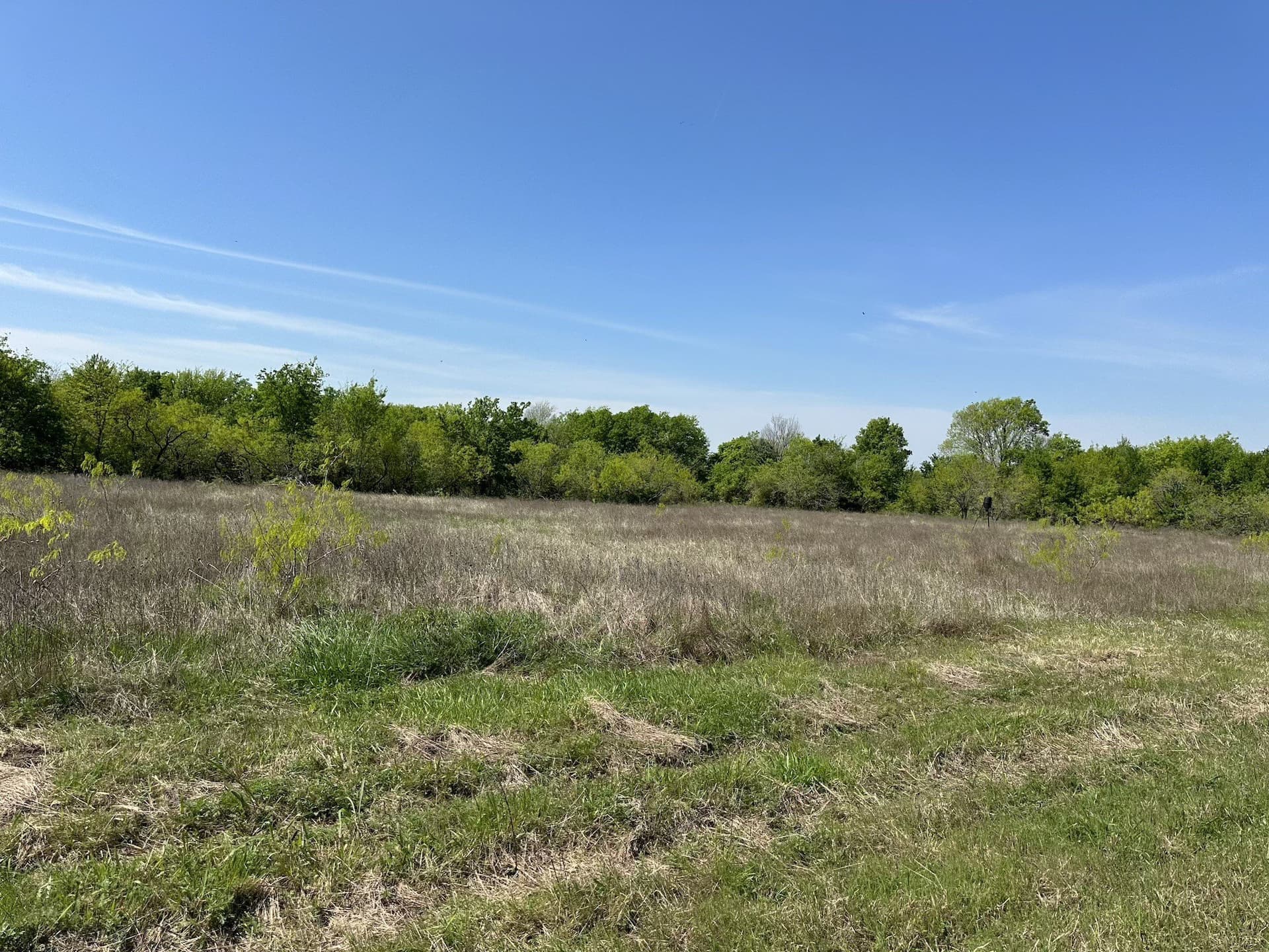 149.71 acres in Navarro County - photo 35