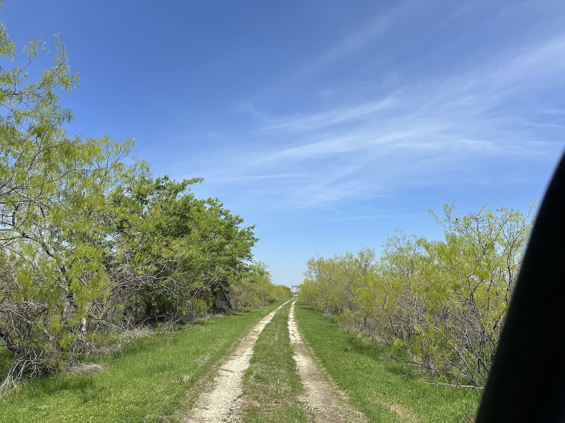 149.71 acres in Navarro County - photo 18