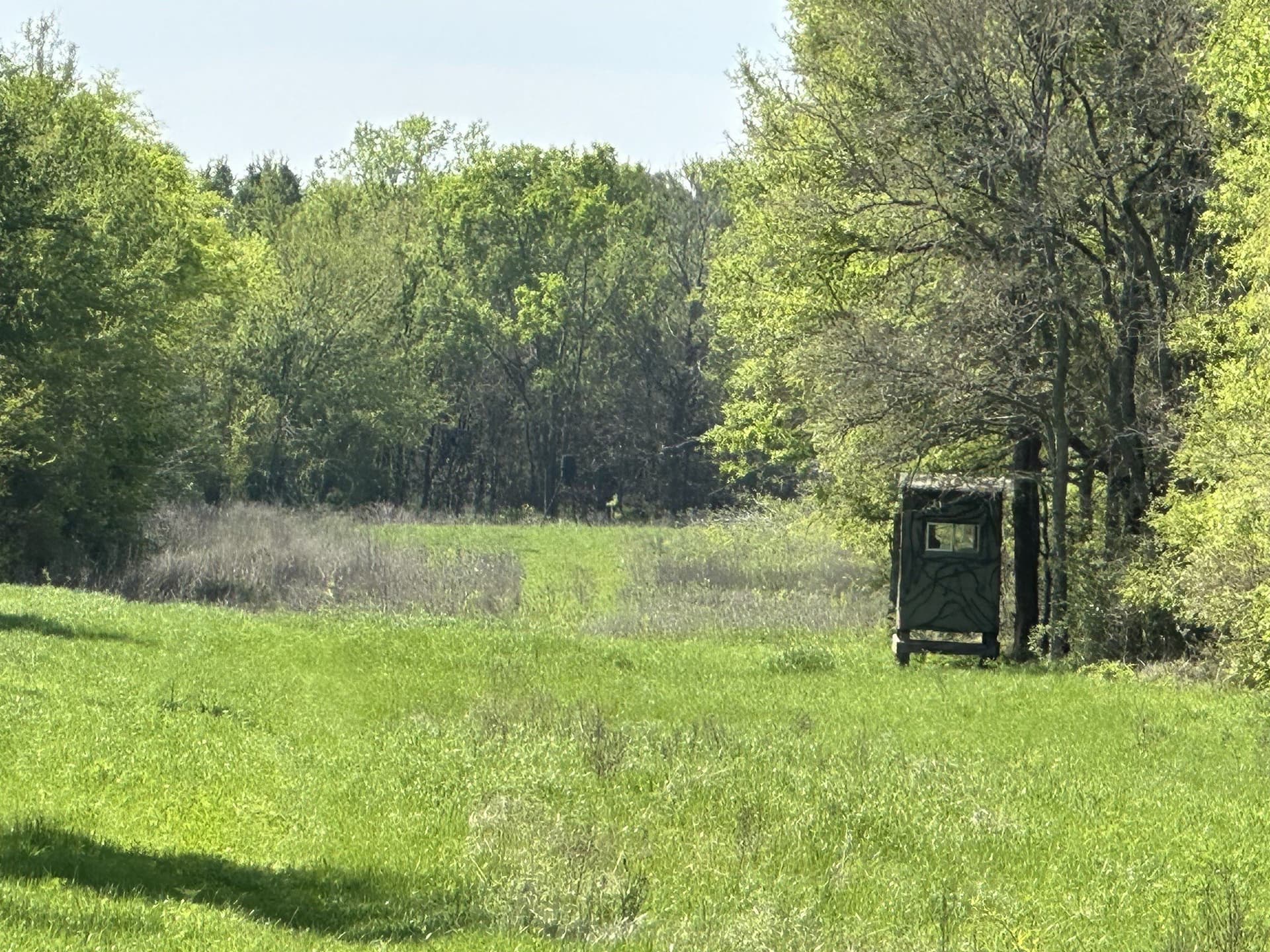 149.71 acres in Navarro County - photo 31