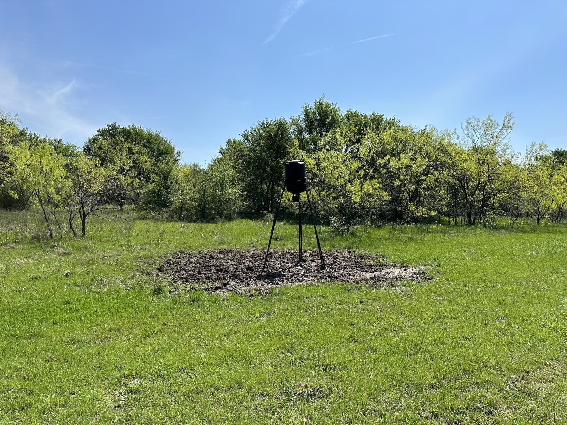 149.71 acres in Navarro County - photo 28
