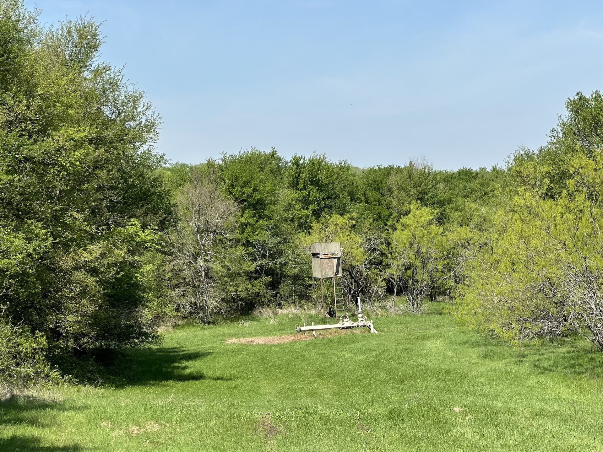 149.71 acres in Navarro County - photo 33