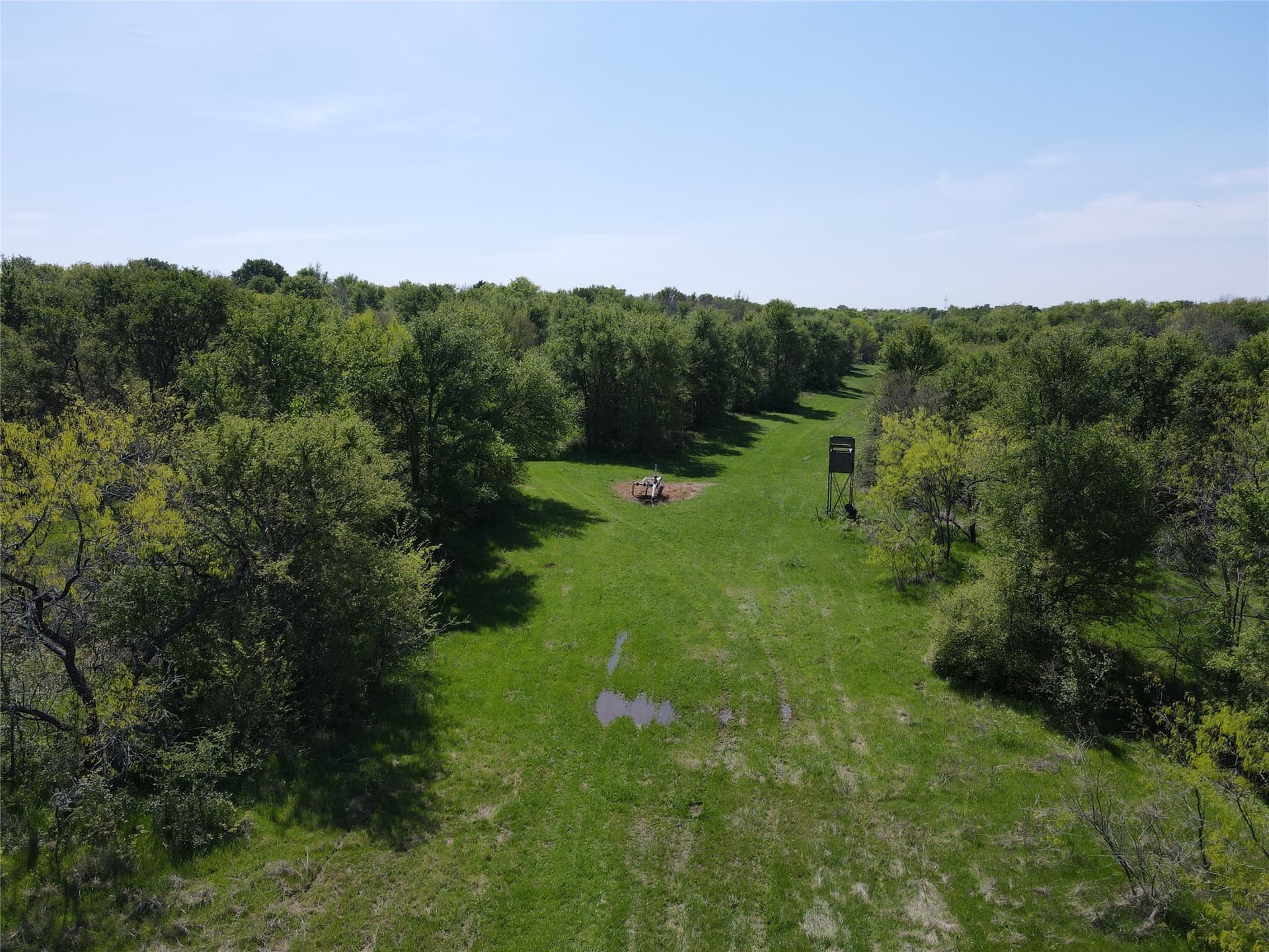 149.71 acres in Navarro County - photo 13