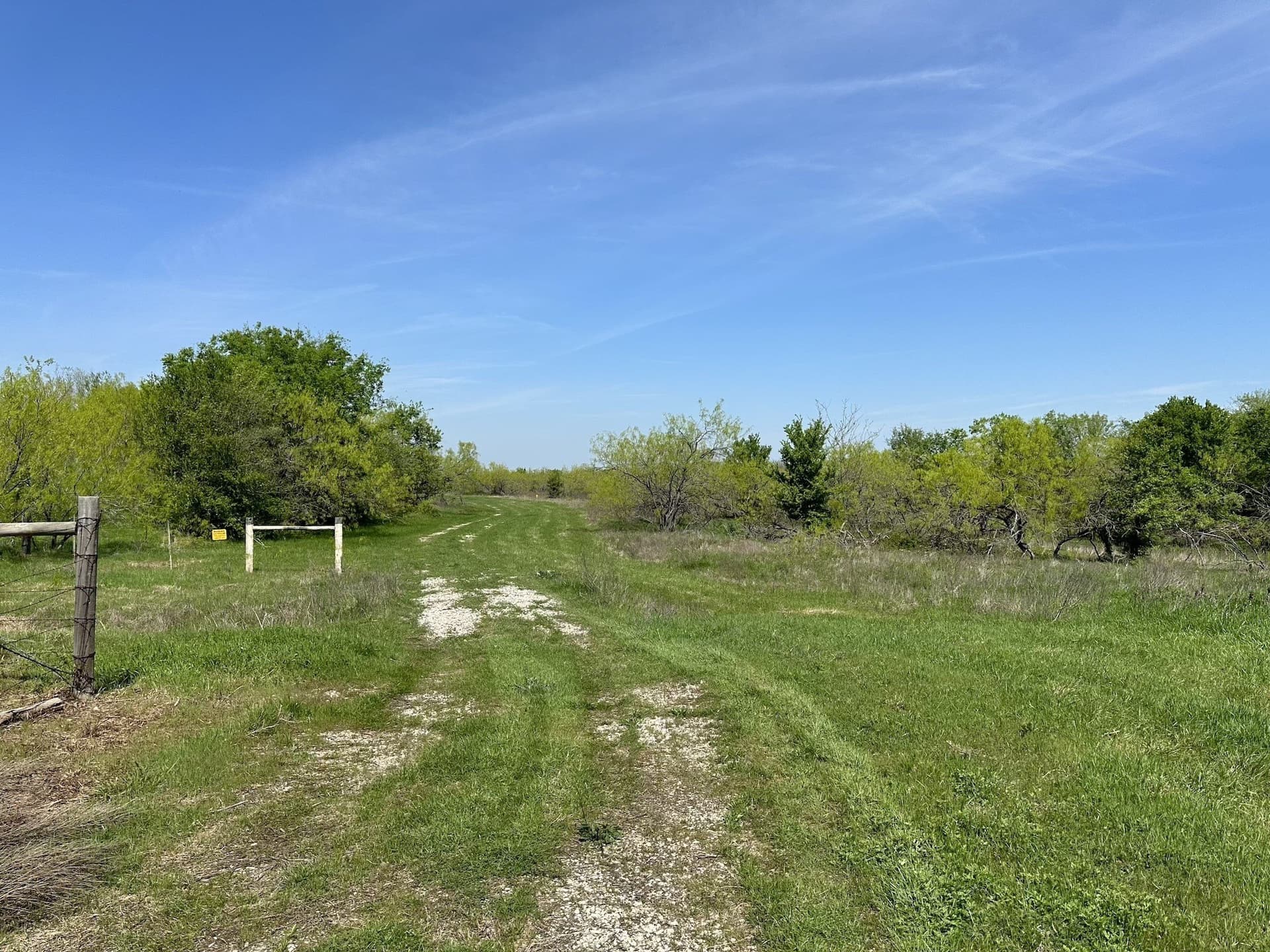 149.71 acres in Navarro County - photo 38