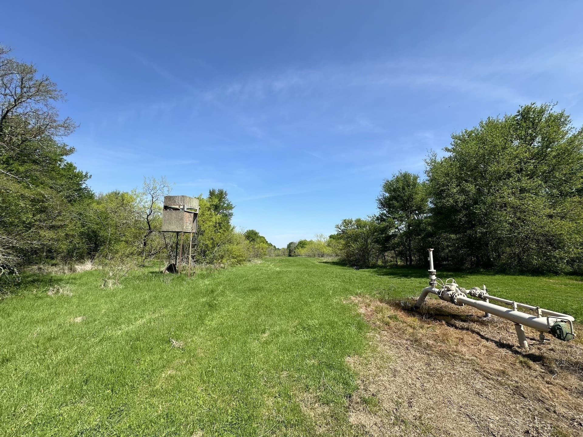 149.71 acres in Navarro County - photo 30