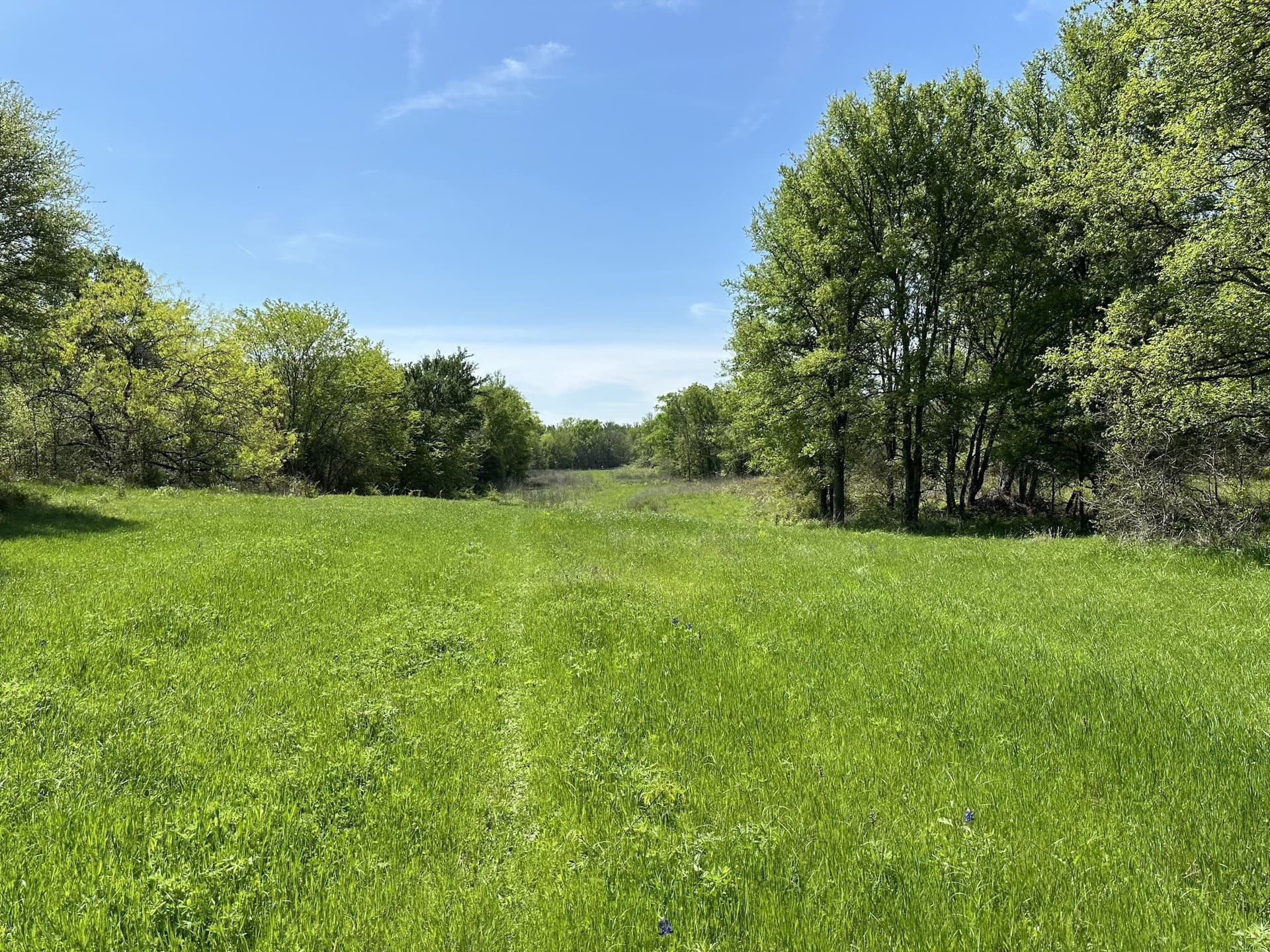149.71 acres in Navarro County - photo 22