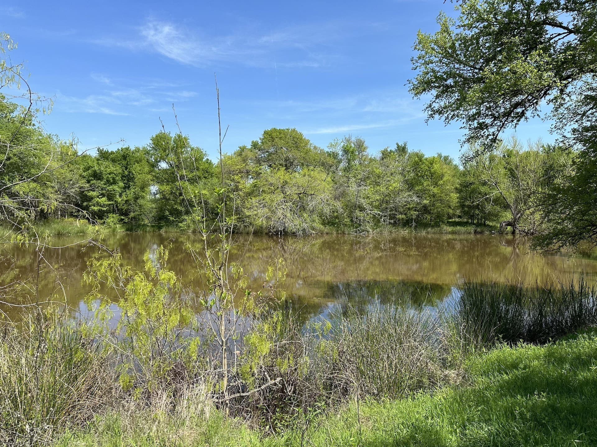 149.71 acres in Navarro County - photo 25