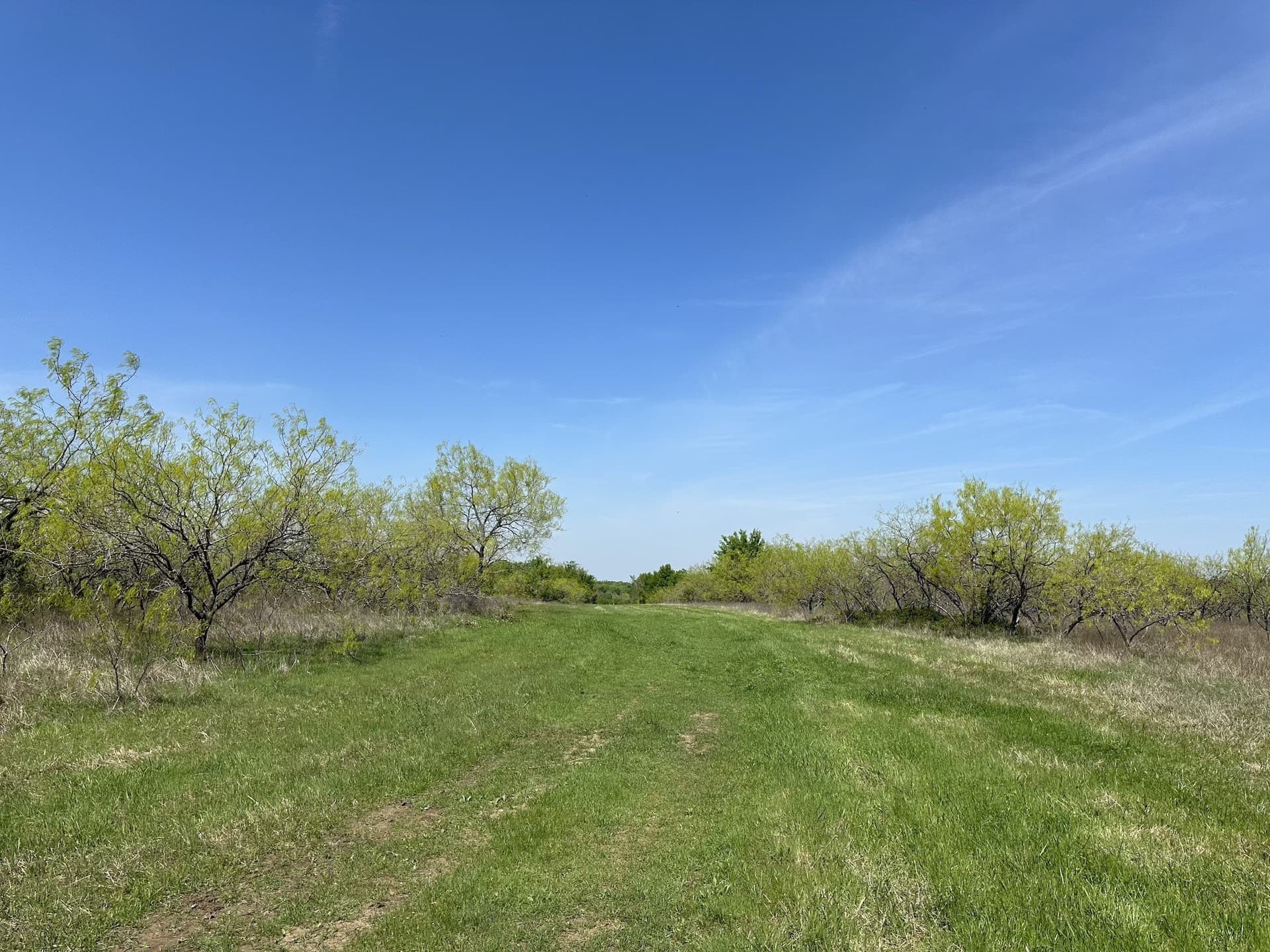 149.71 acres in Navarro County - photo 36