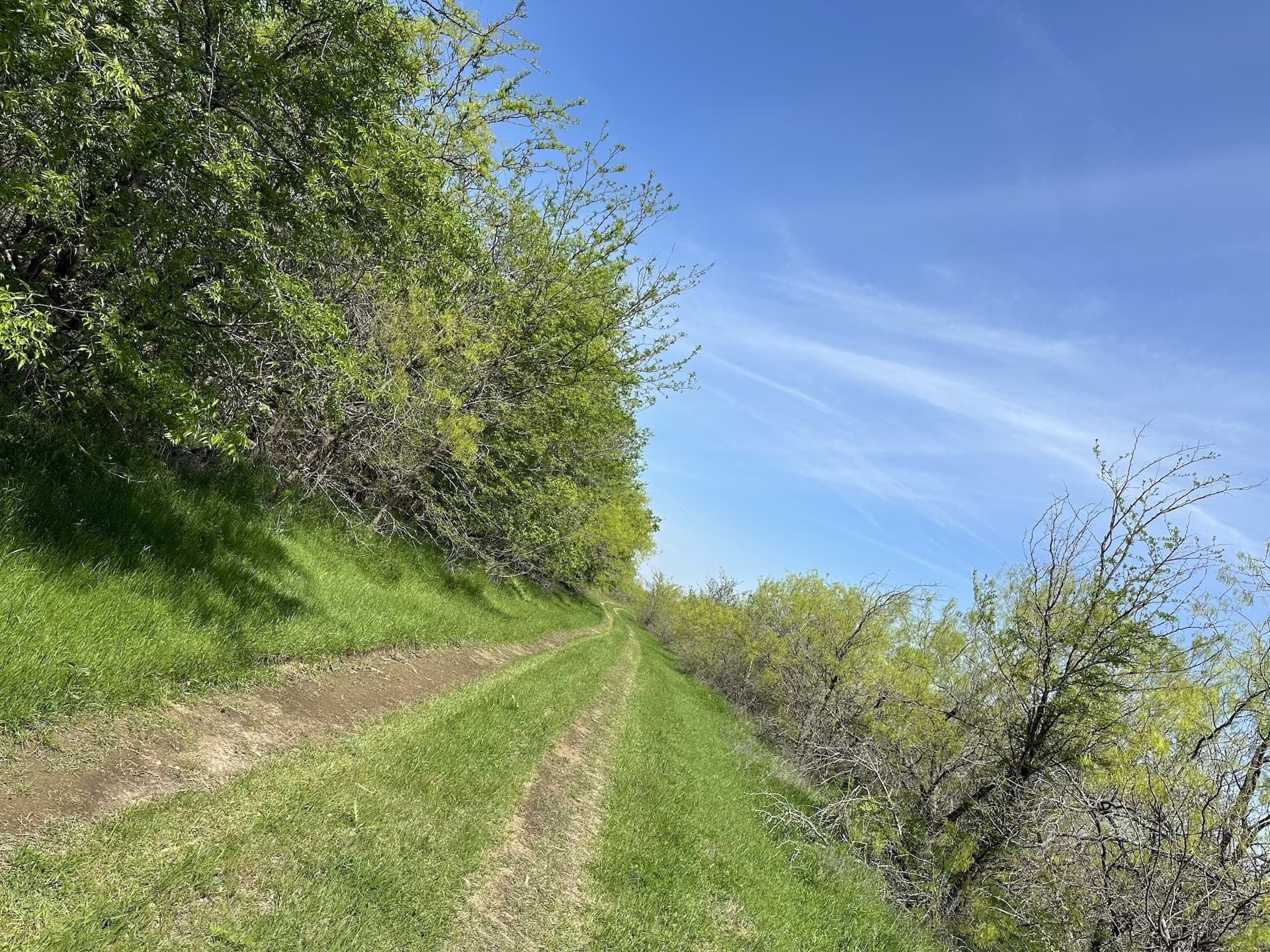 149.71 acres in Navarro County - photo 19