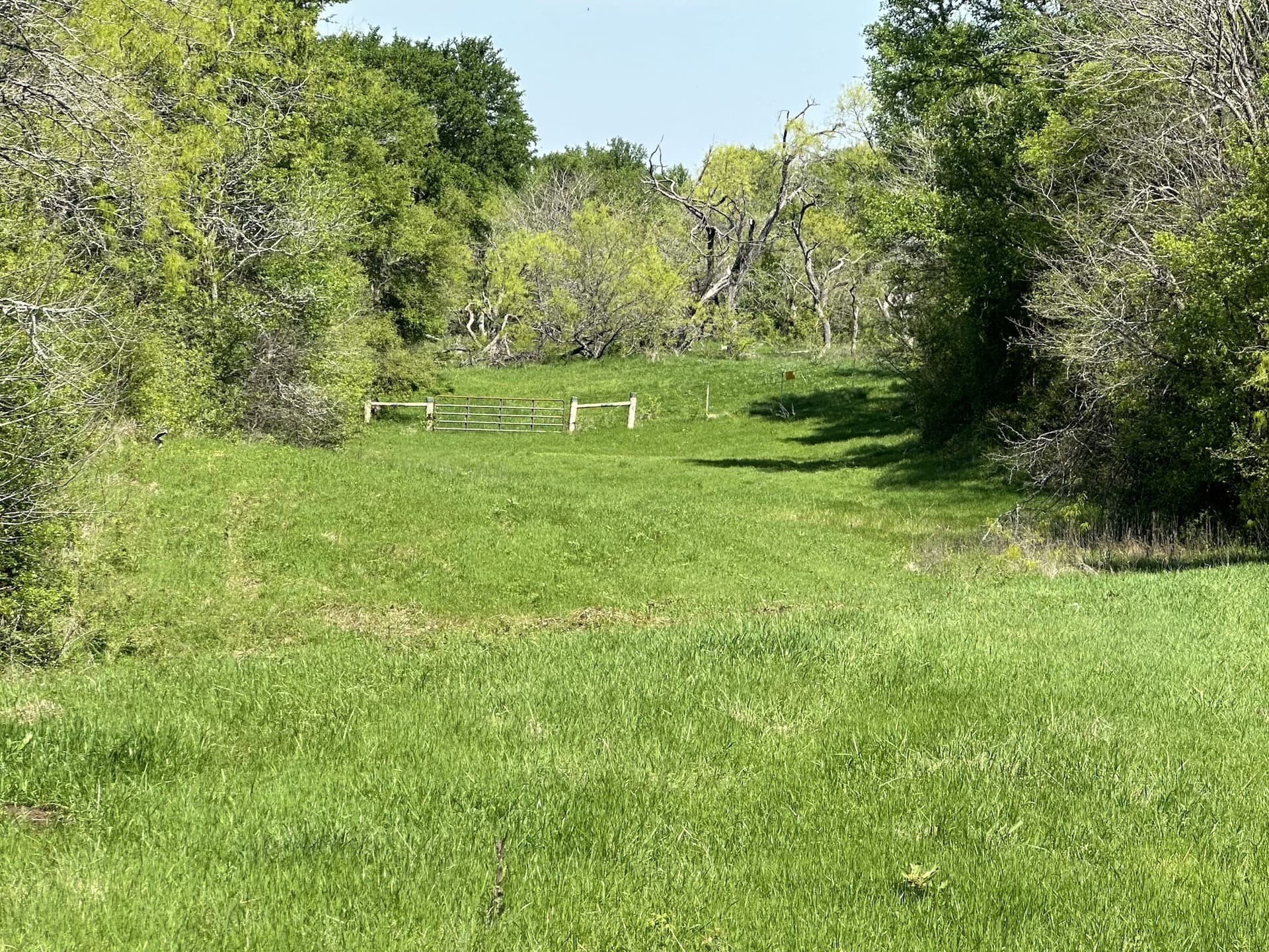 149.71 acres in Navarro County - photo 26