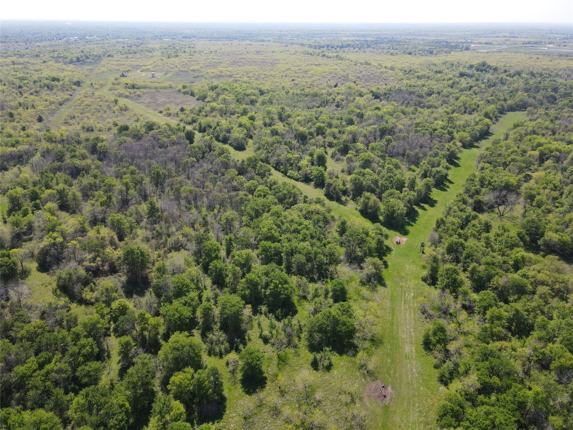149.71 acres in Navarro County - photo 4