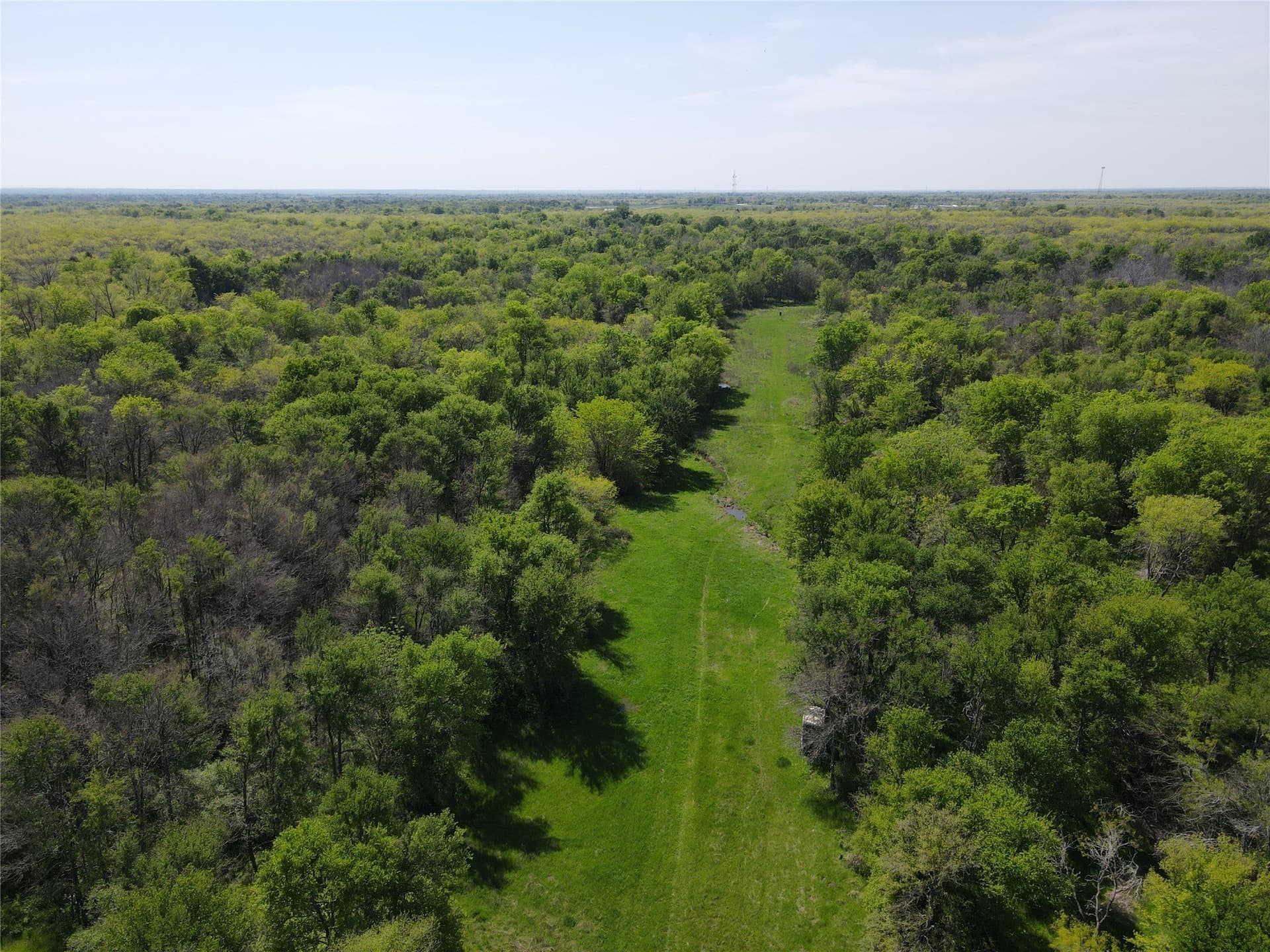 149.71 acres in Navarro County - photo 14