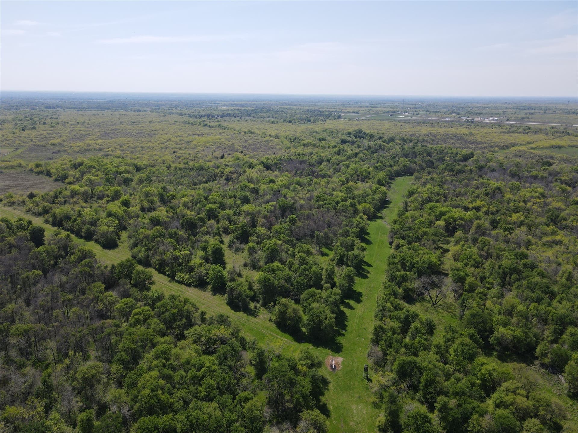 149.71 acres in Navarro County - photo 6