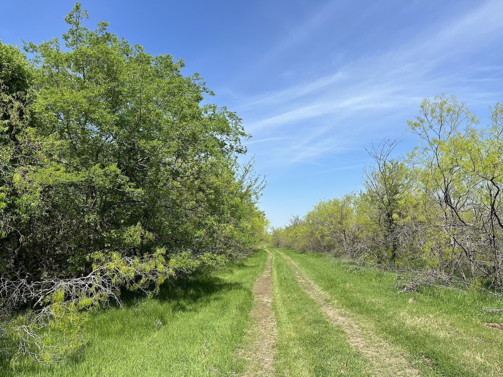 149.71 acres in Navarro County - photo 20