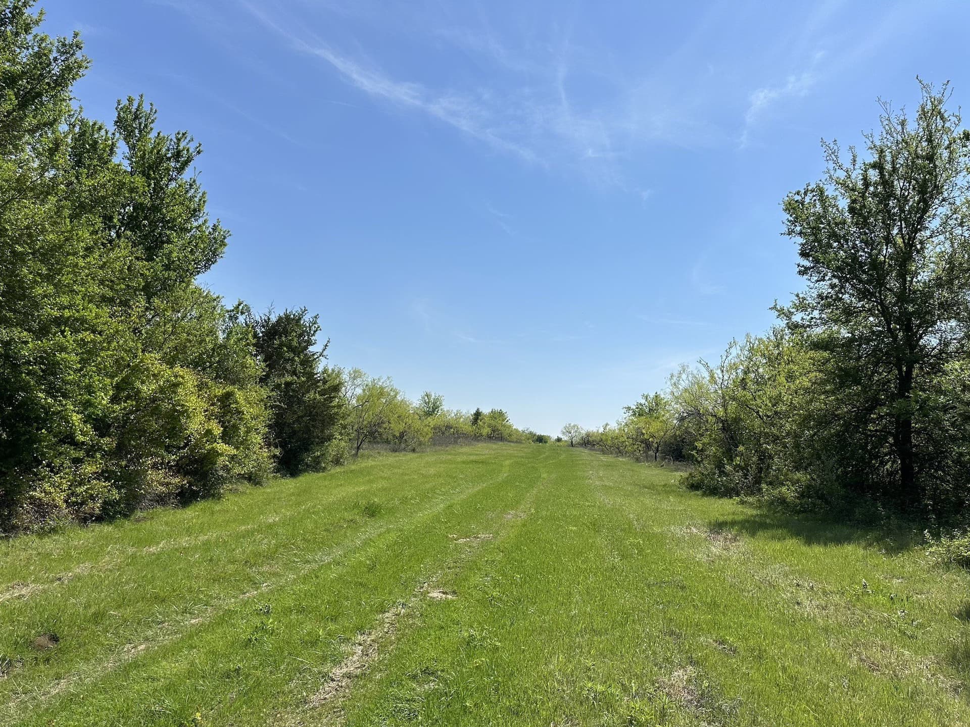149.71 acres in Navarro County - photo 24