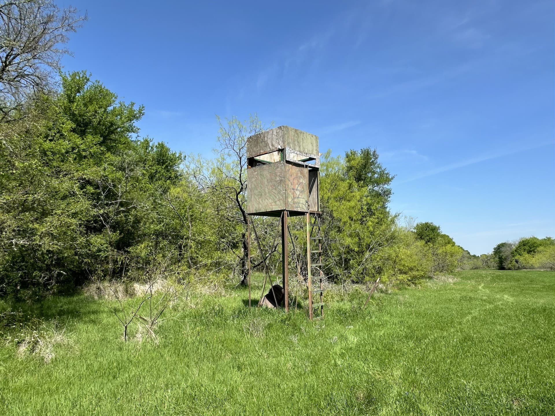 149.71 acres in Navarro County - photo 29