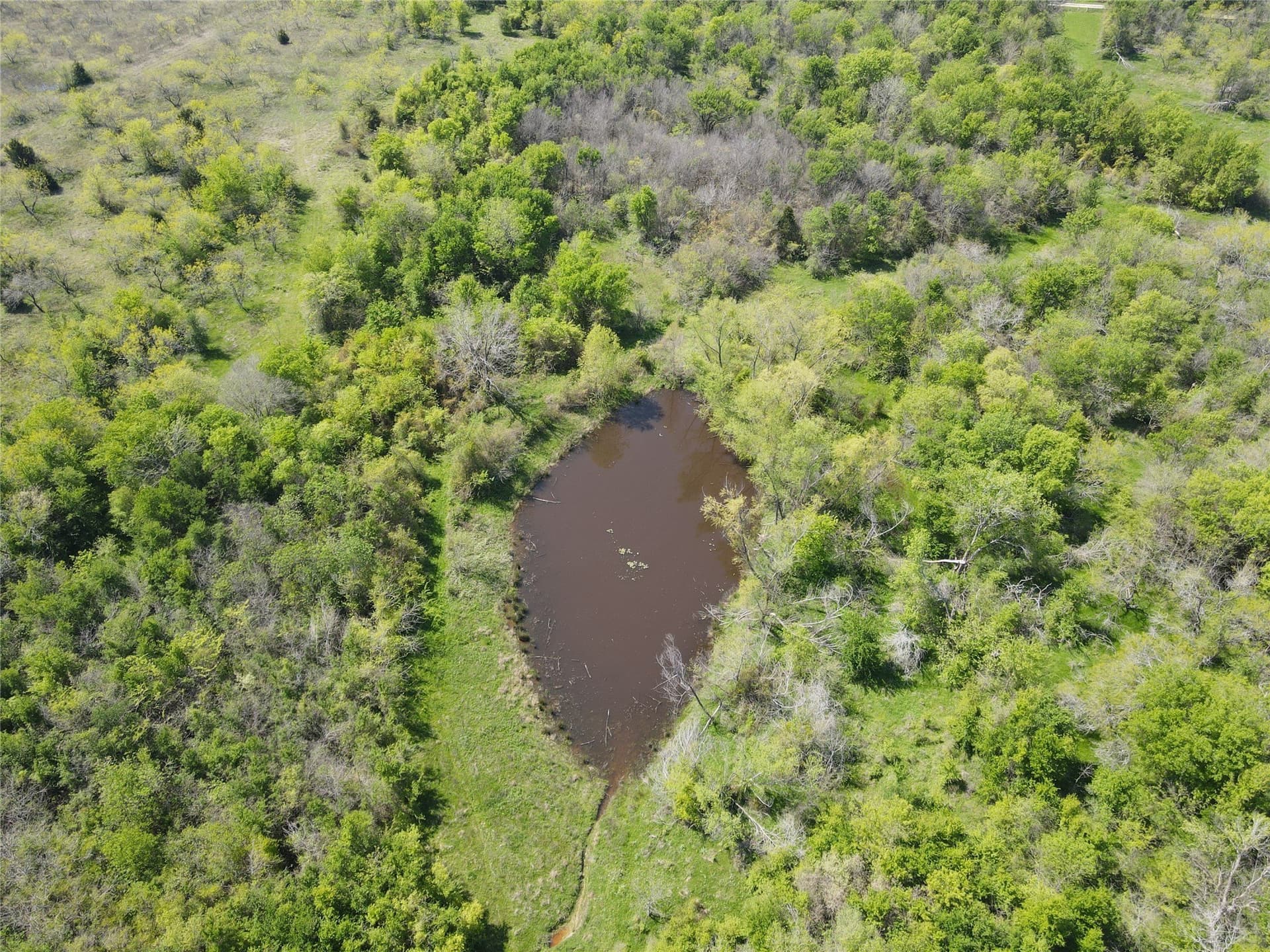 149.71 acres in Navarro County - photo 8