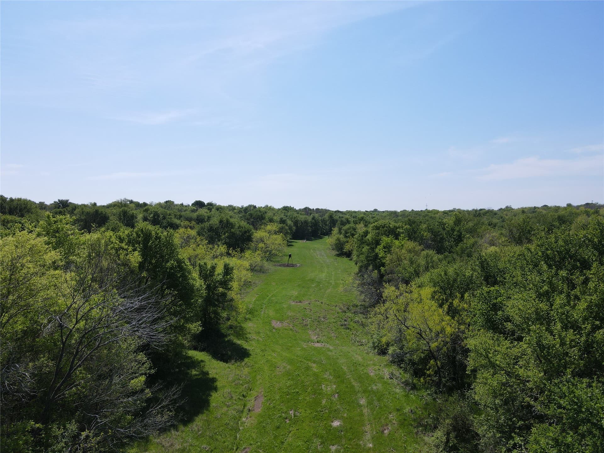 149.71 acres in Navarro County - photo 12