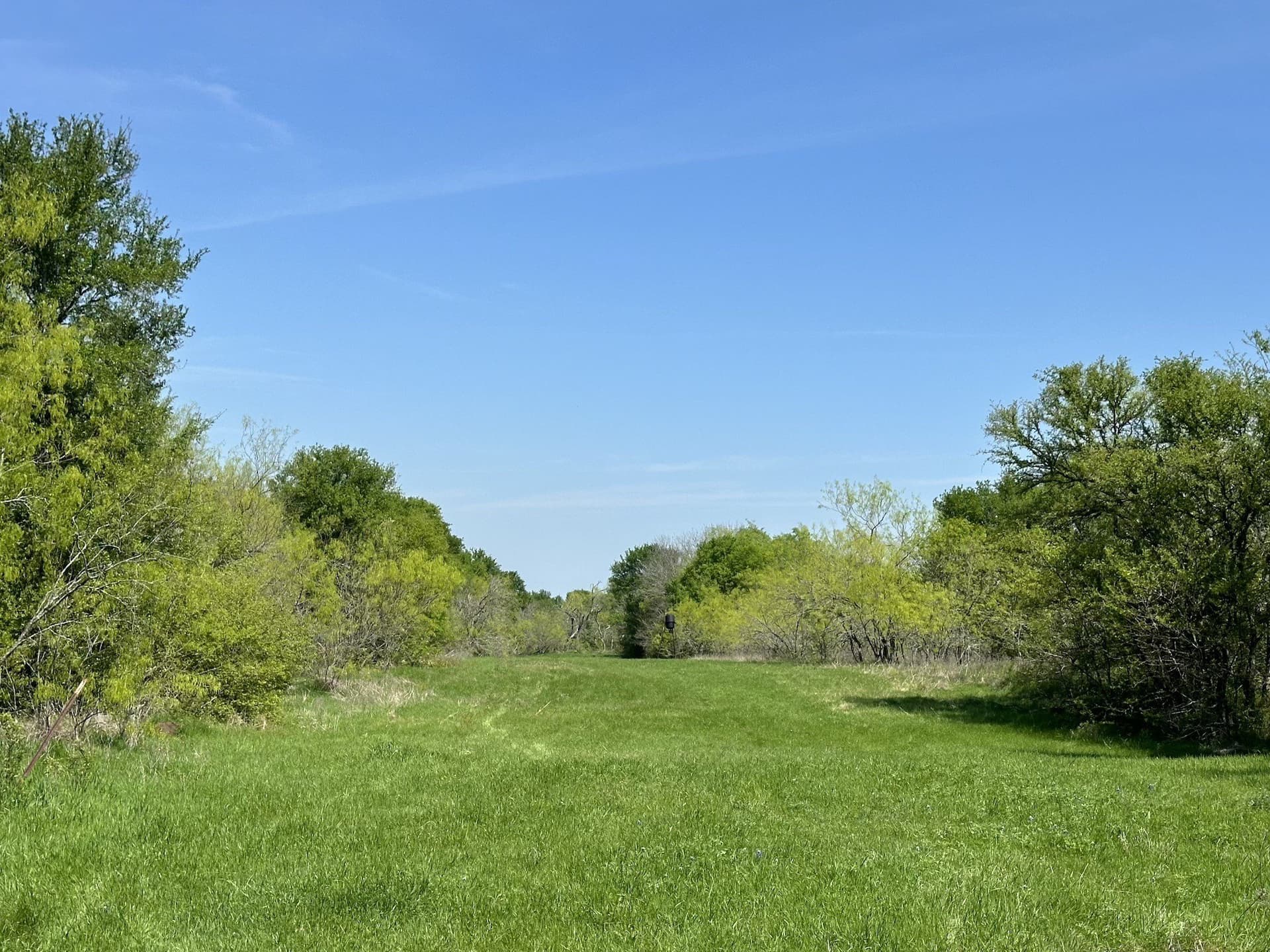 149.71 acres in Navarro County - photo 21