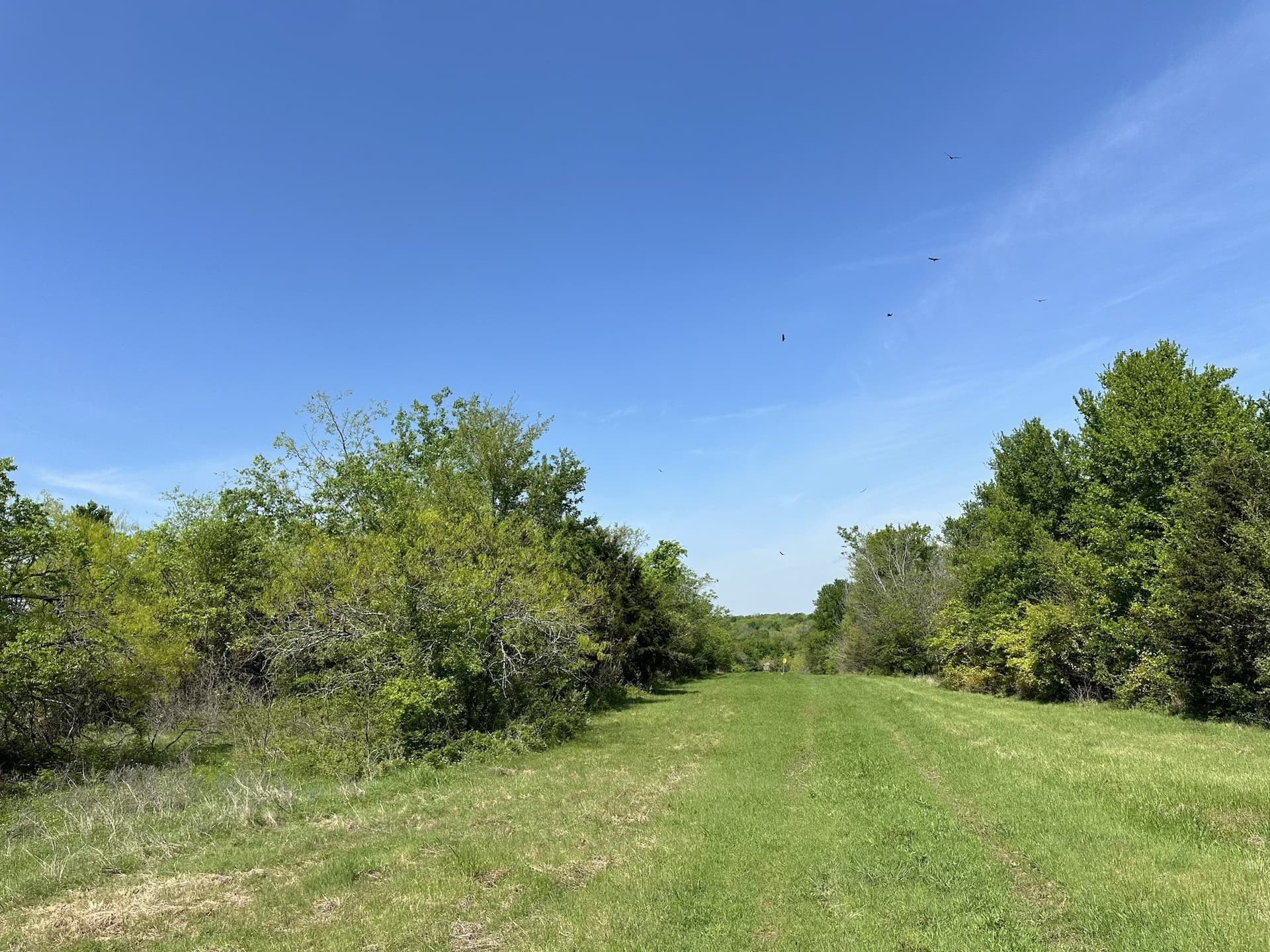 149.71 acres in Navarro County - photo 34