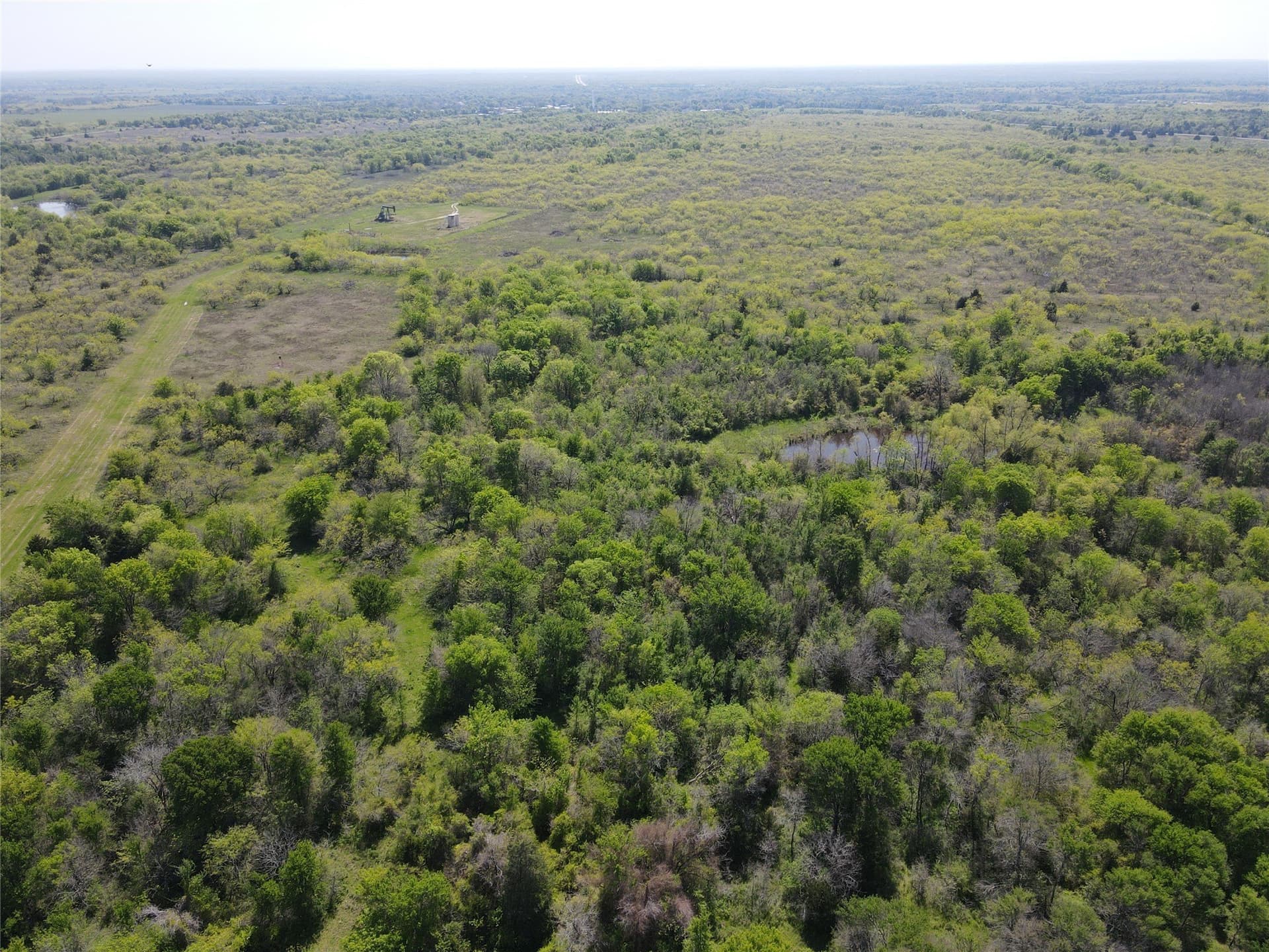 149.71 acres in Navarro County - photo 7