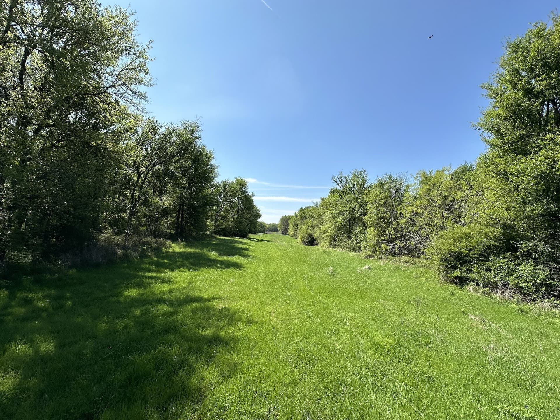 149.71 acres in Navarro County - photo 32