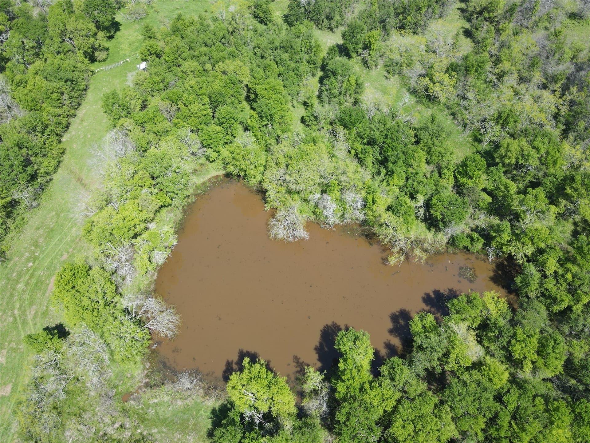 149.71 acres in Navarro County - photo 11