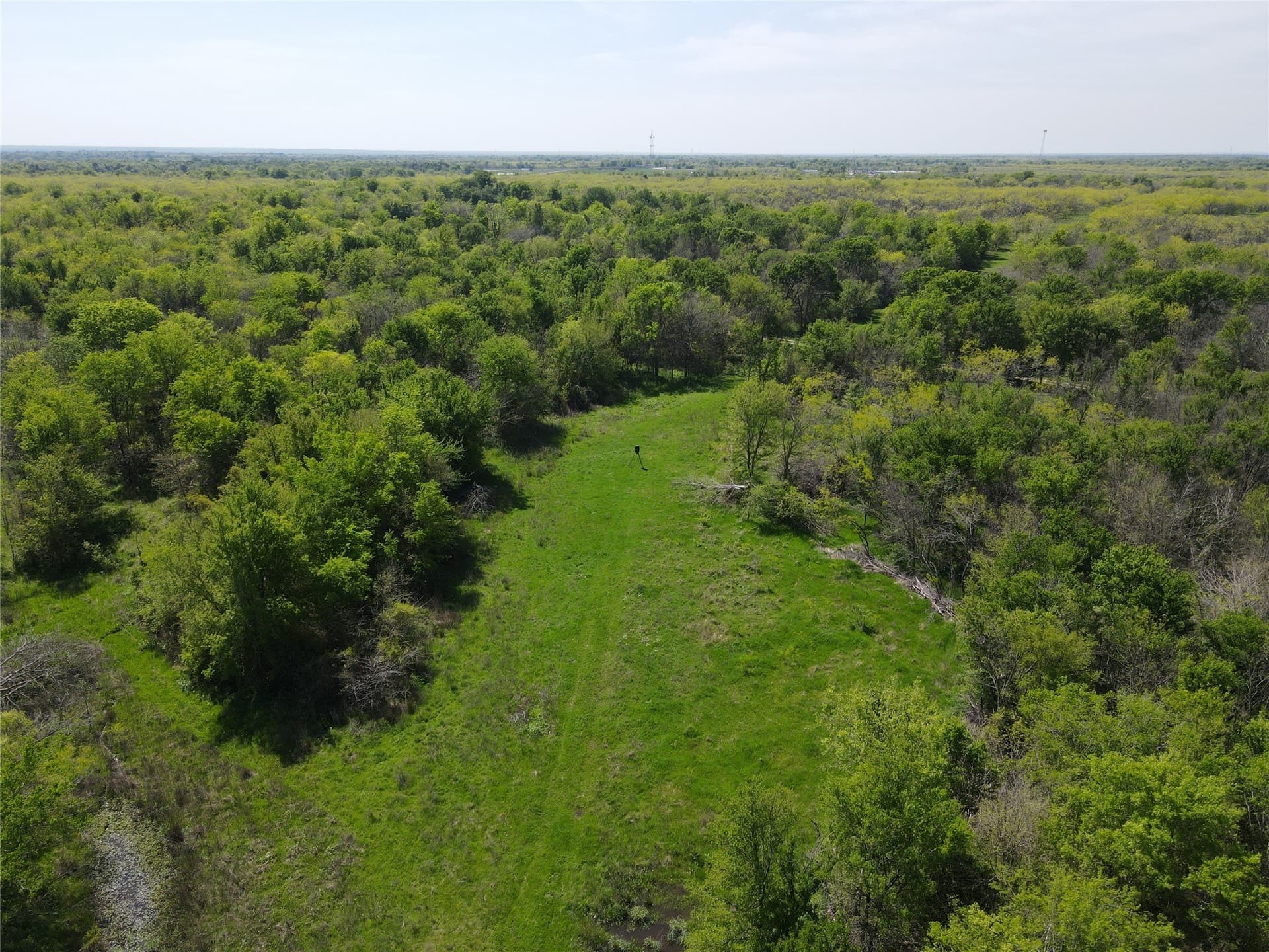 149.71 acres in Navarro County - photo 16