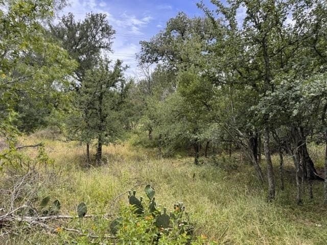 0.12 acres in Burnet County gallery image 3