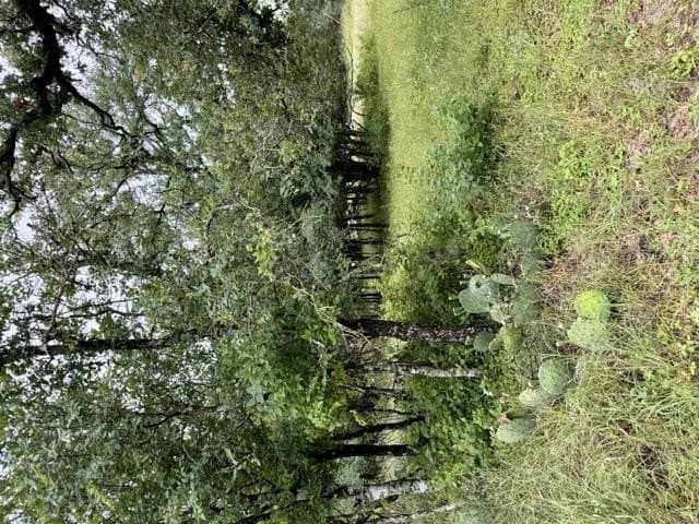 0.12 acres in Burnet County gallery image 2
