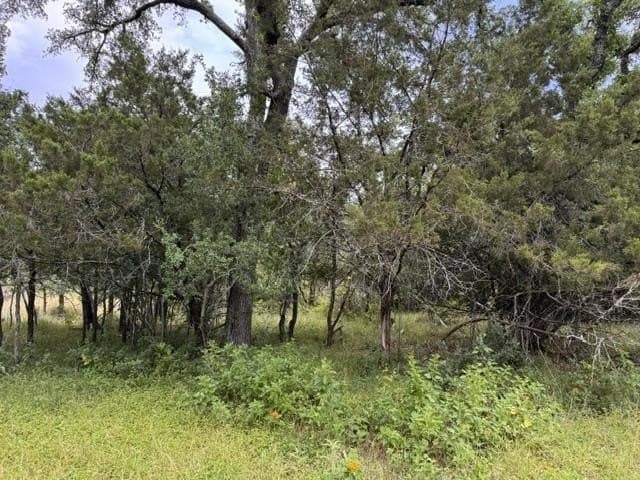 0.12 acres in Burnet County gallery image 4