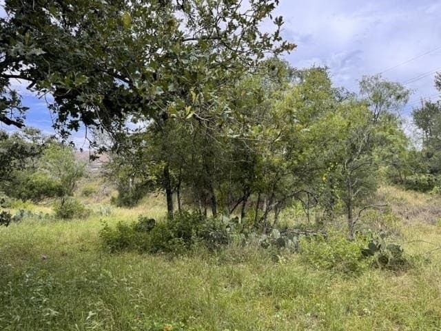0.12 acres in Burnet County gallery image 2